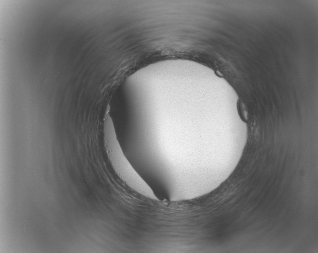 X0000058771012200510281938