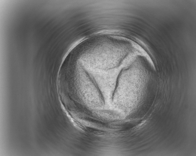 X0000058771050200510281939
