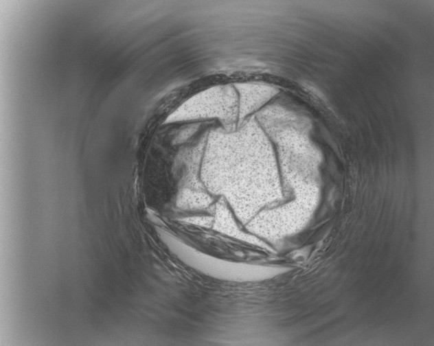 X0000058771063200510281938