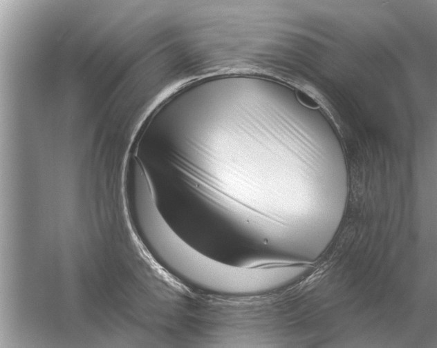 X0000058771142200510281937