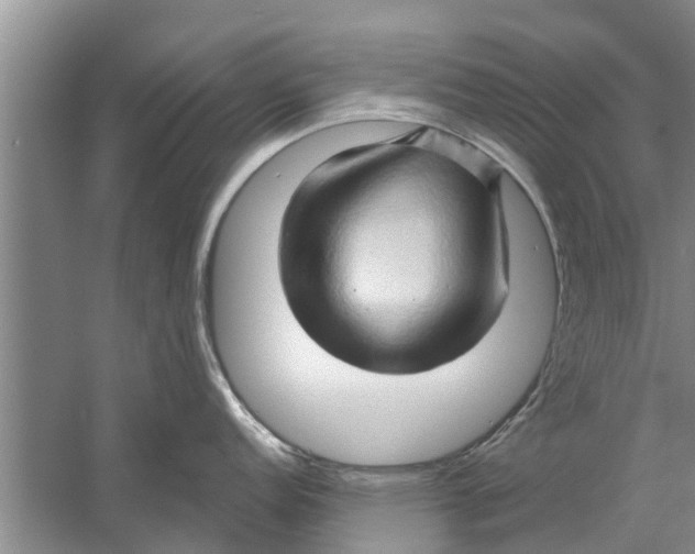 X0000058771152200510281937
