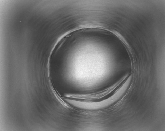 X0000058771246200510281936