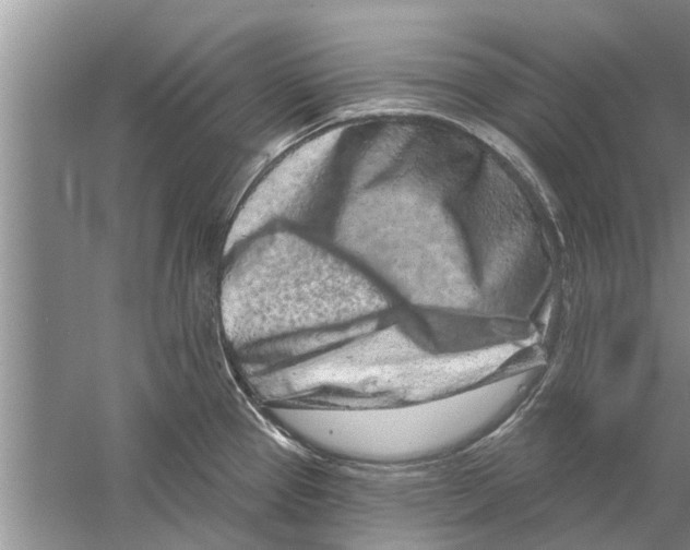 X0000058771337200510281934