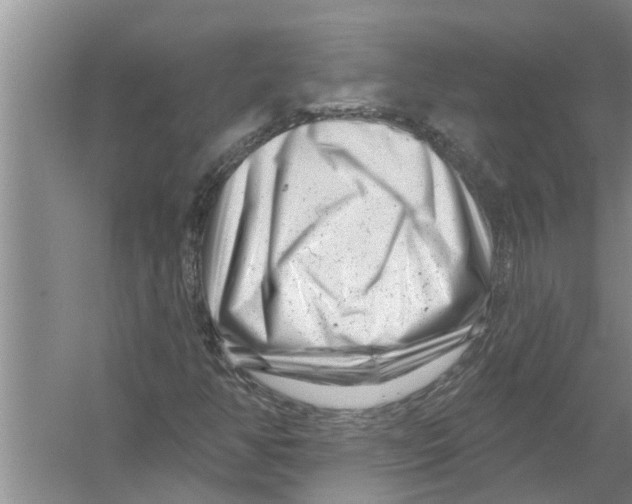 X0000058771350200510281933