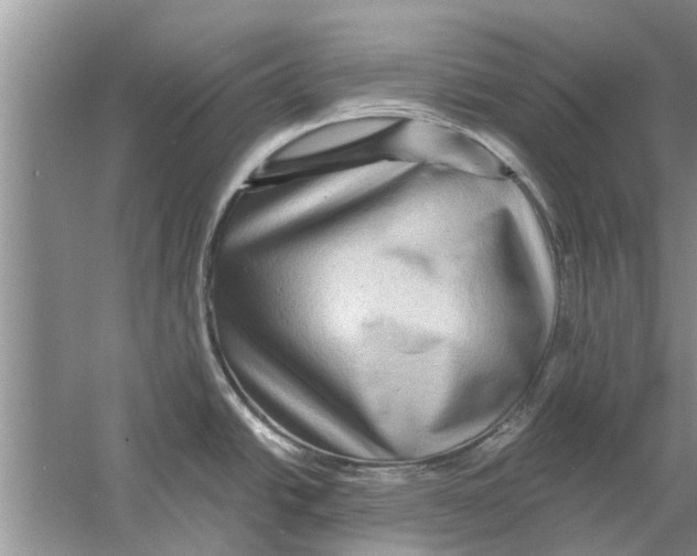 X0000058771438200510281933