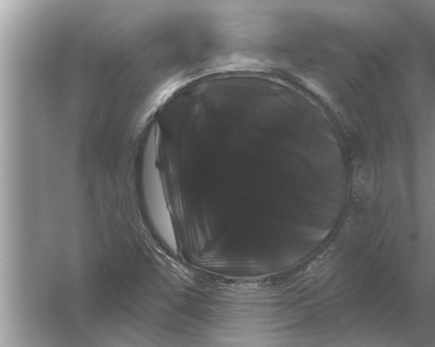 X0000058771455200510281932