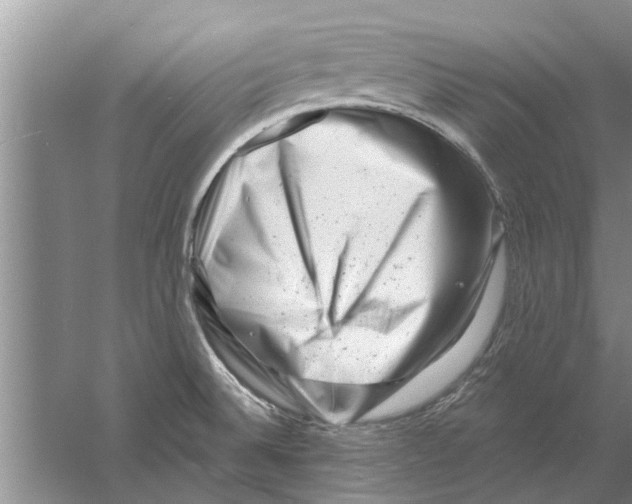 X0000058771524200510281931