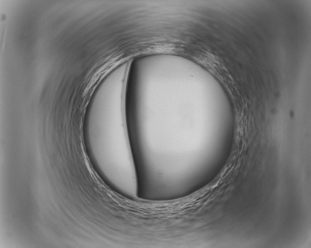 X0000058780001200509300827