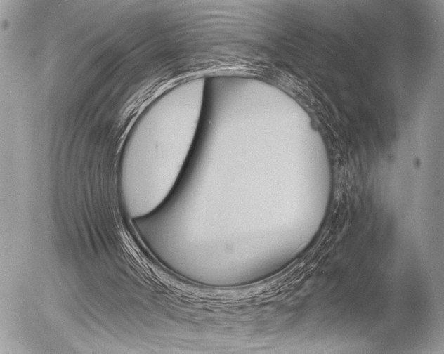 X0000058780002200509300827