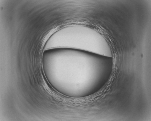 X0000058780003200509300827
