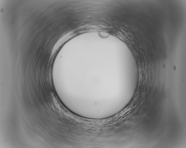 X0000058780004200509300827