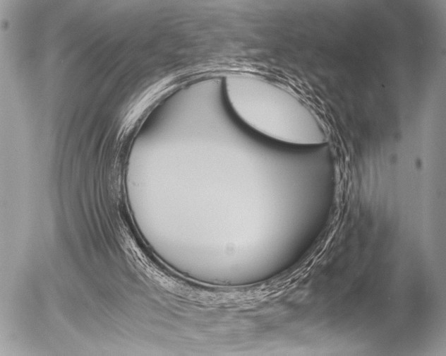 X0000058780005200509300827
