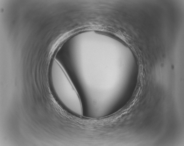 X0000058780007200509300827