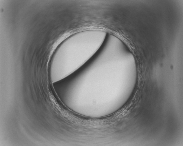 X0000058780008200509300827