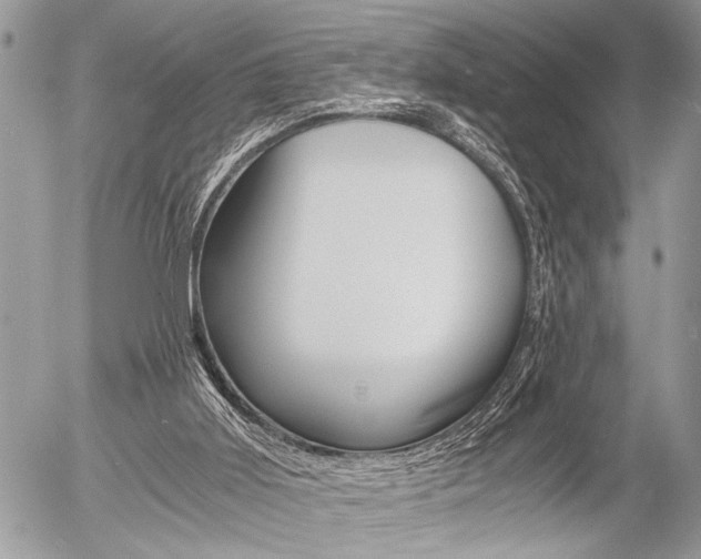 X0000058780011200509300827