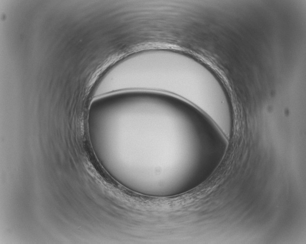 X0000058780015200509300827