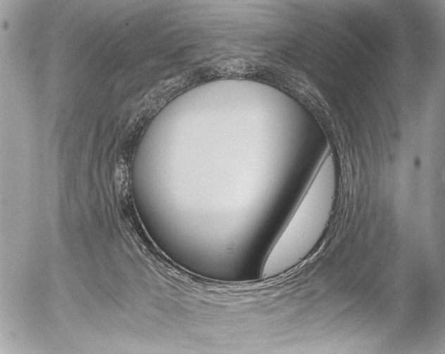 X0000058780029200509300826