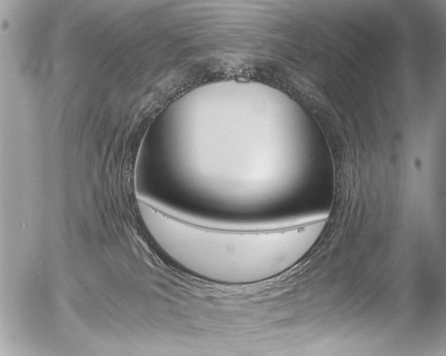 X0000058780039200509300826