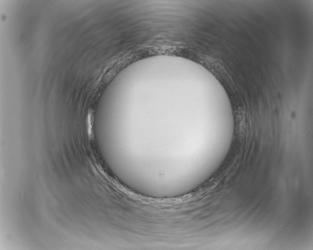 X0000058780042200509300826