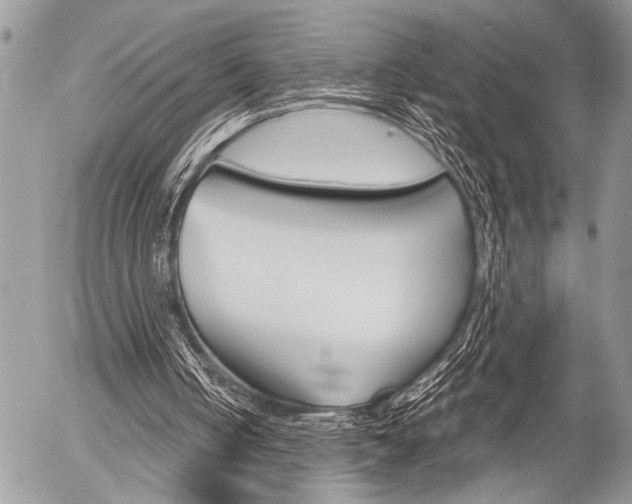 X0000058780050200509300825