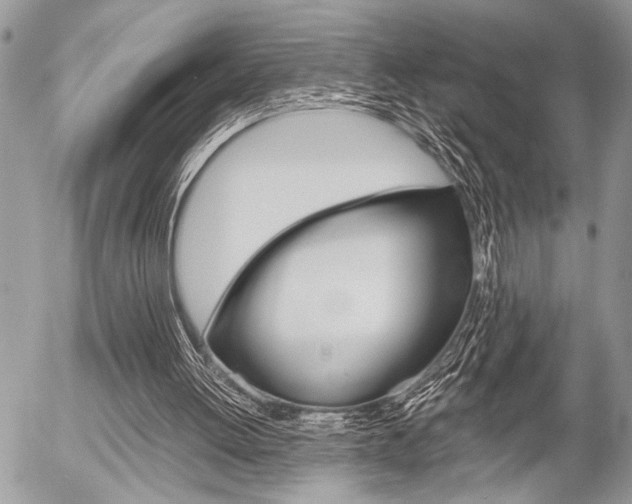 X0000058780052200509300825