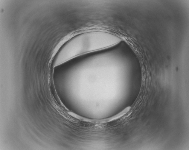 X0000058780056200509300825