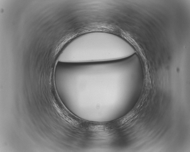X0000058780058200509300825