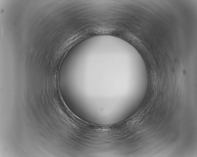 X0000058780071200509300826