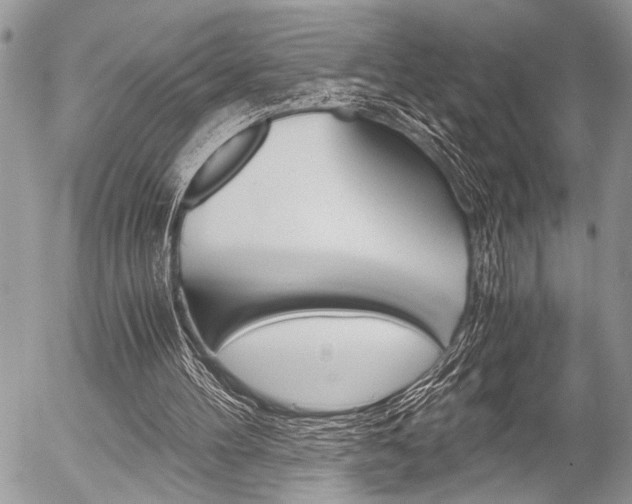 X0000058780100200509300825