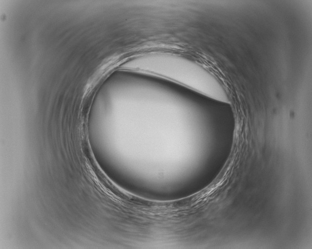 X0000058780101200509300825