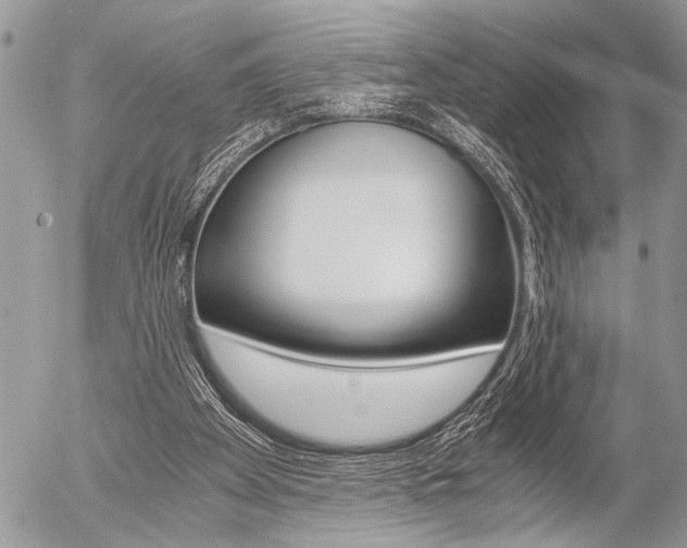 X0000058780105200509300825