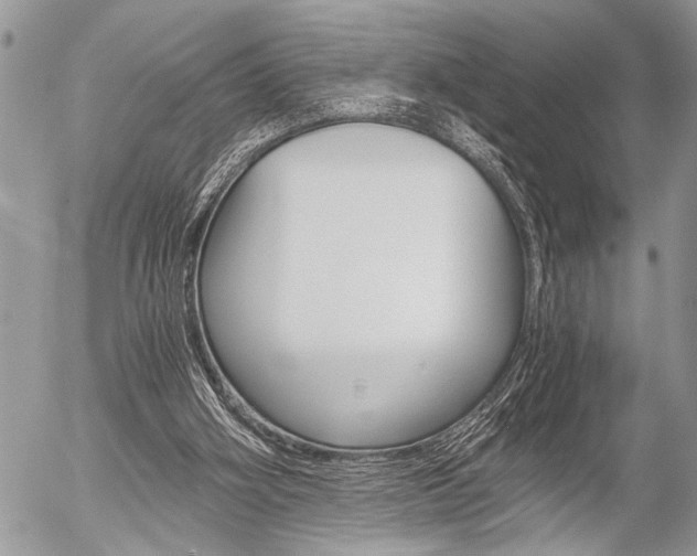 X0000058780106200509300825