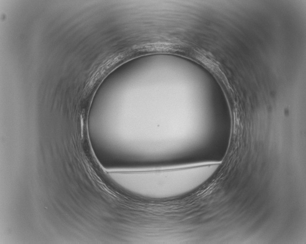 X0000058780109200509300825