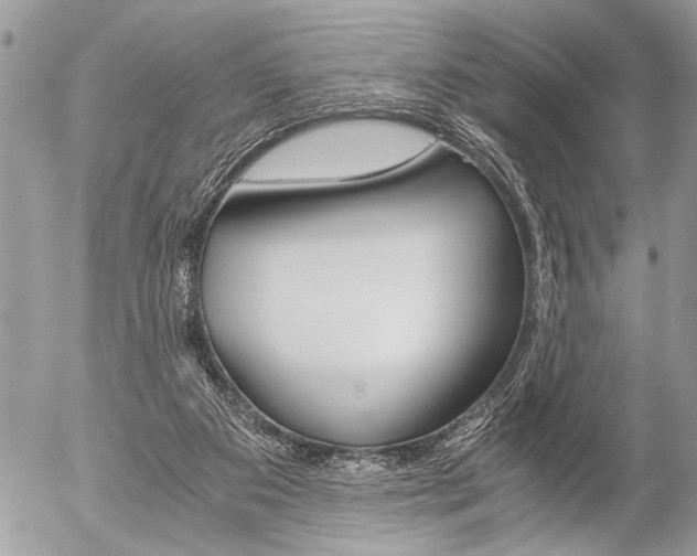 X0000058780113200509300825