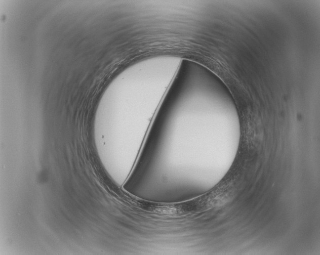 X0000058780123200509300825