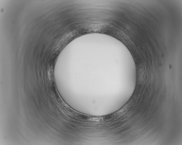 X0000058780126200509300825