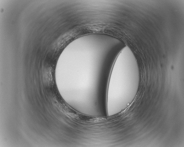 X0000058780128200509300825