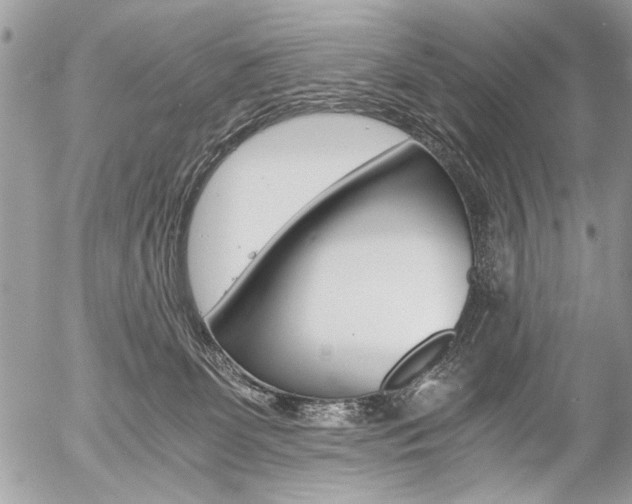 X0000058780131200509300825