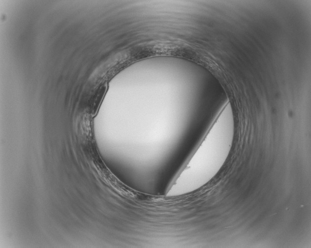 X0000058780137200509300825