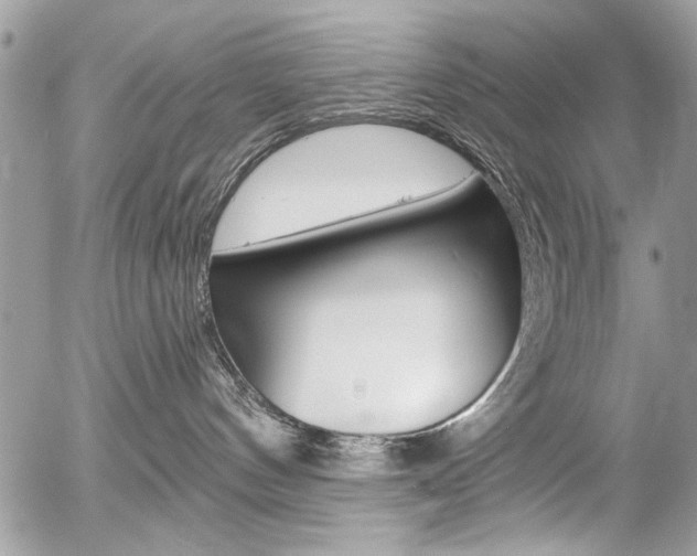 X0000058780144200509300824
