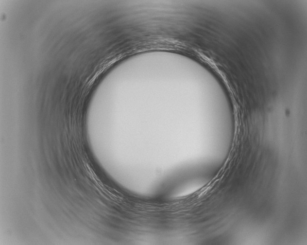 X0000058780154200509300824