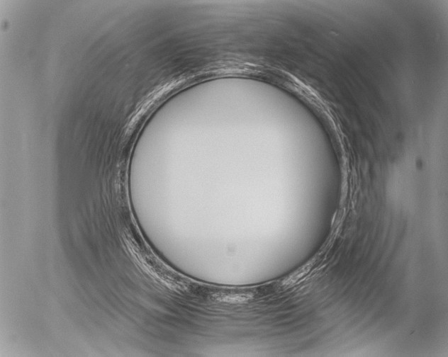 X0000058780155200509300824
