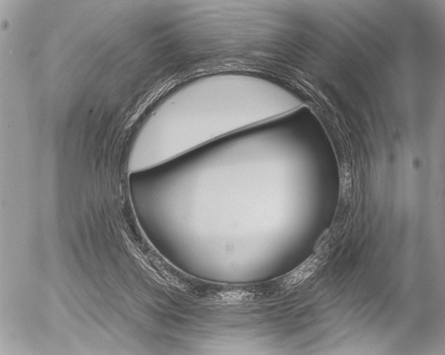 X0000058780158200509300824