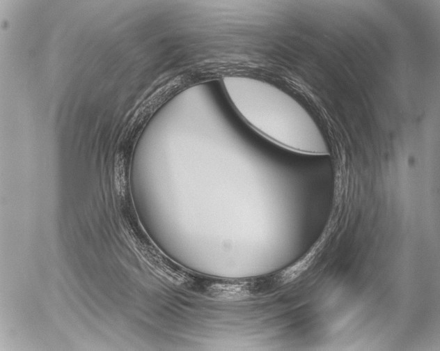 X0000058780170200509300824