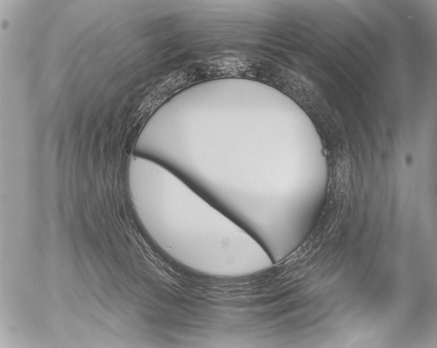 X0000058780177200509300824