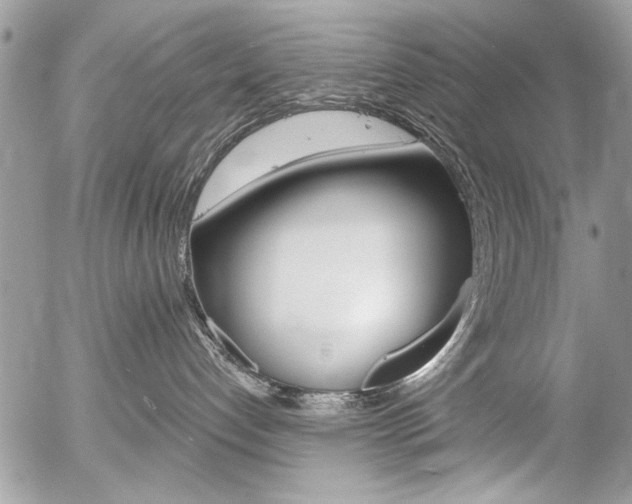 X0000058780192200509300824
