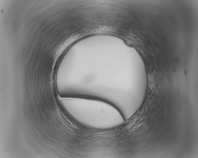 X0000058780196200509300824