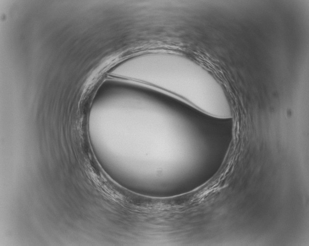 X0000058780197200509300824