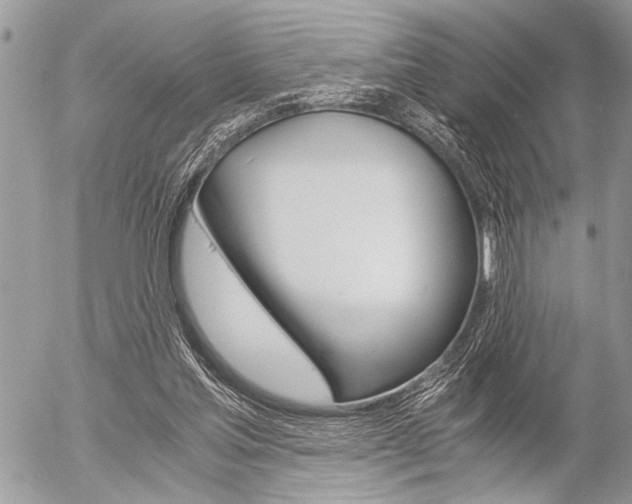 X0000058780205200509300823