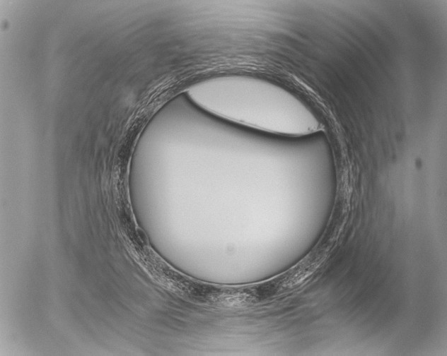 X0000058780209200509300823